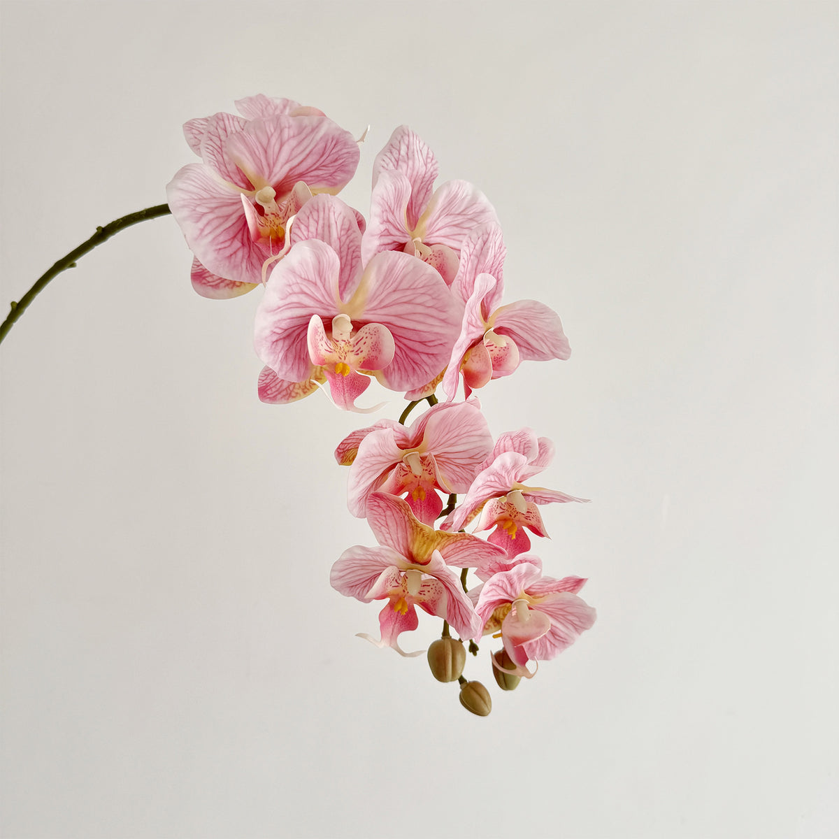 Premium Artificial Orchid Stem