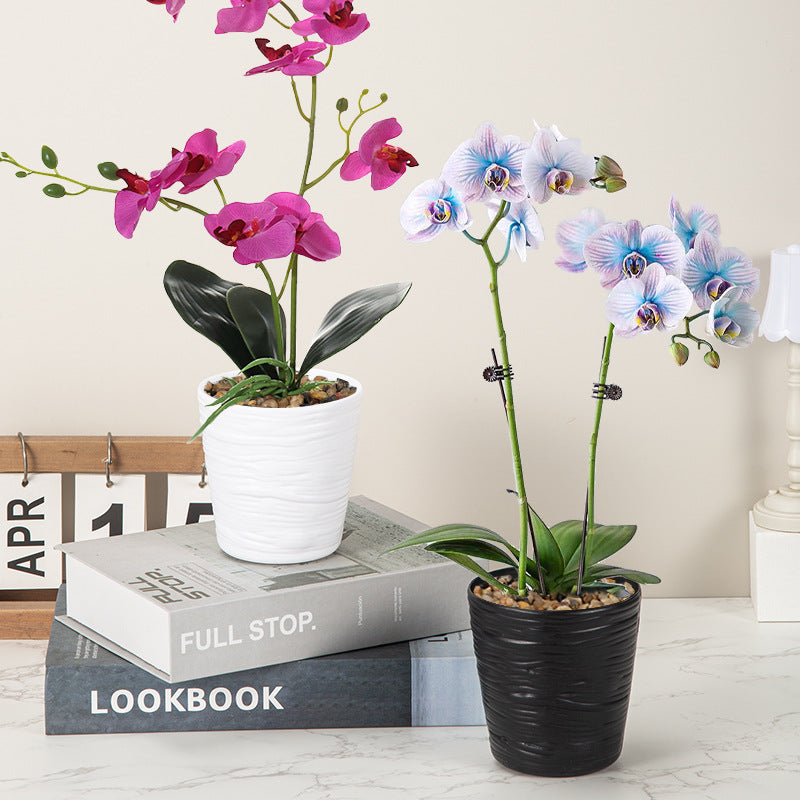 Textured Wave Design Ceramic Planter Homeandso