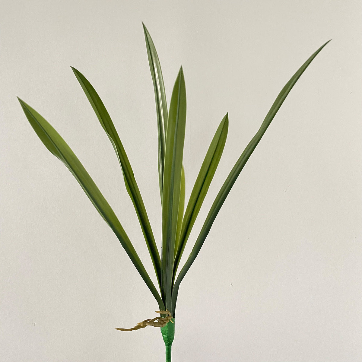 Elegant Lotus Flower Stem Arrangement