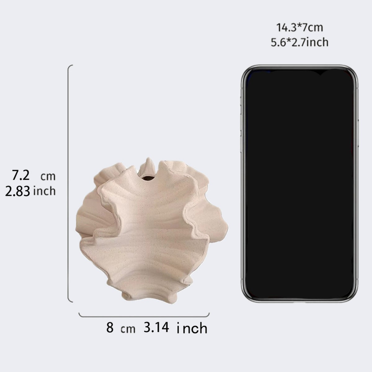 Decorative Shell-Shaped Dish Homeandso