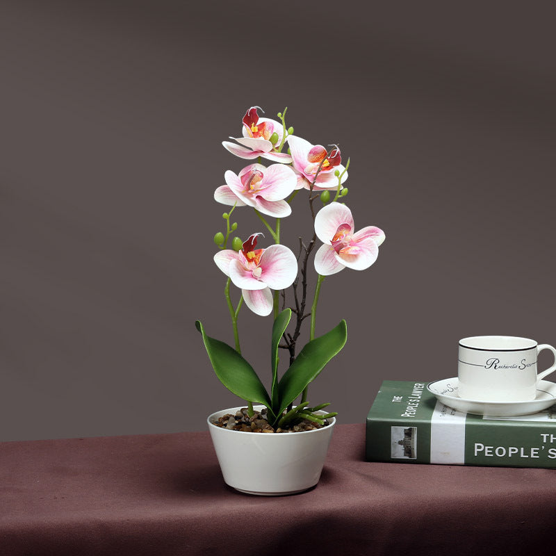 Artificial Orchid Plant Homeandso