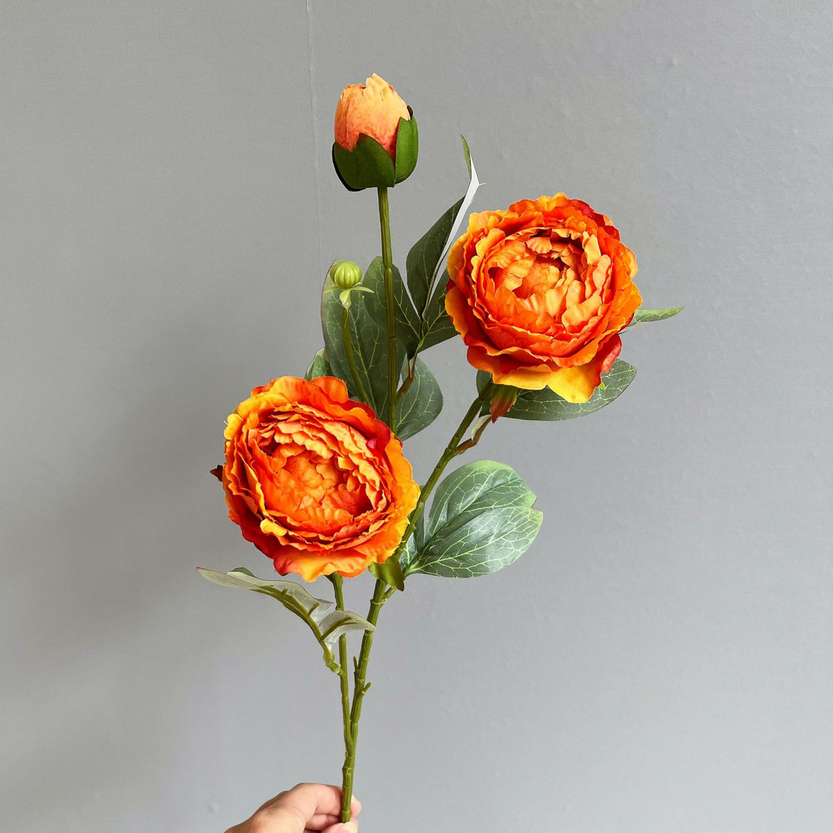 Elegant Peony Floral Stem