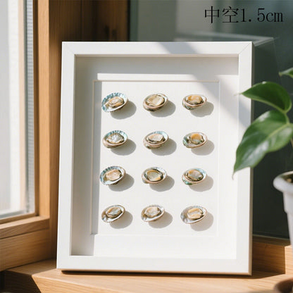 Decorative Shell Art Shadow Box