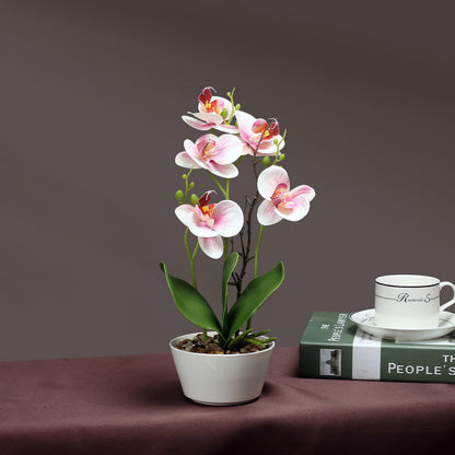 Artificial Orchid Plant Homeandso