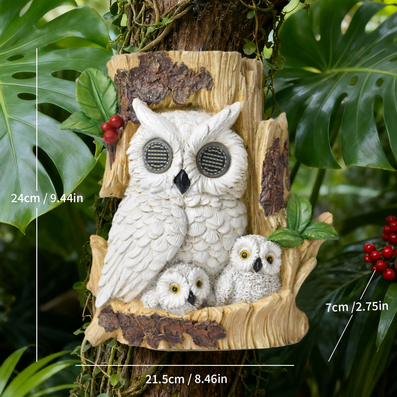 Decorative Homeandso