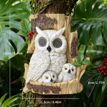 Decorative Homeandso