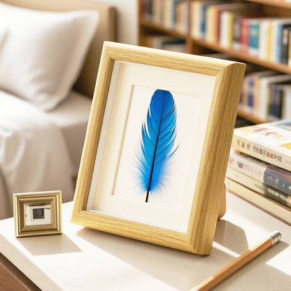 Artistic Feather Frame