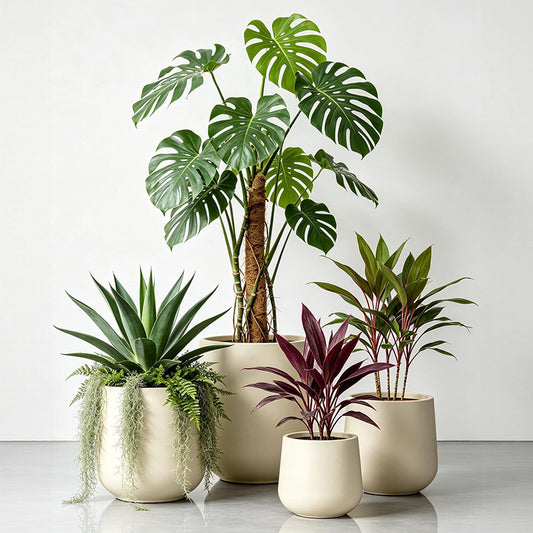 Textured Round Modern Planter Homeandso