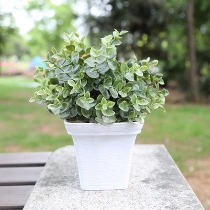 Durable Square Plant Container Homeandso
