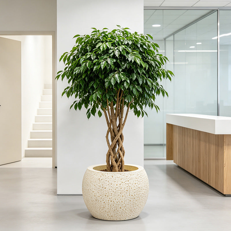 Home Decor Decorative Planter Homeandso