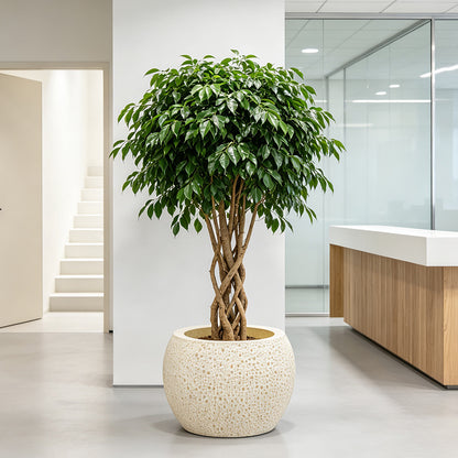 Home Decor Decorative Planter Homeandso