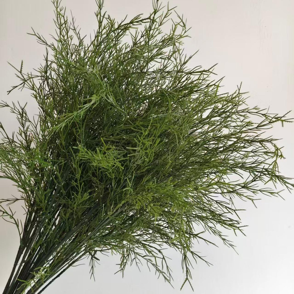 Decorative Dried Greenery Stem for Home Display