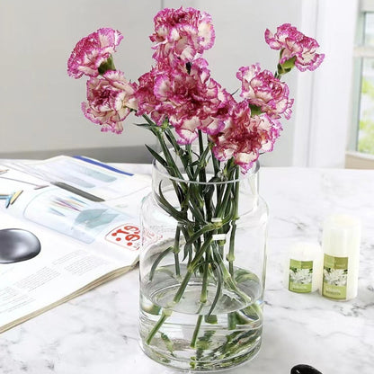 Glass Storage Jar