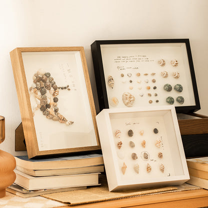 Shell Display Shadow Box