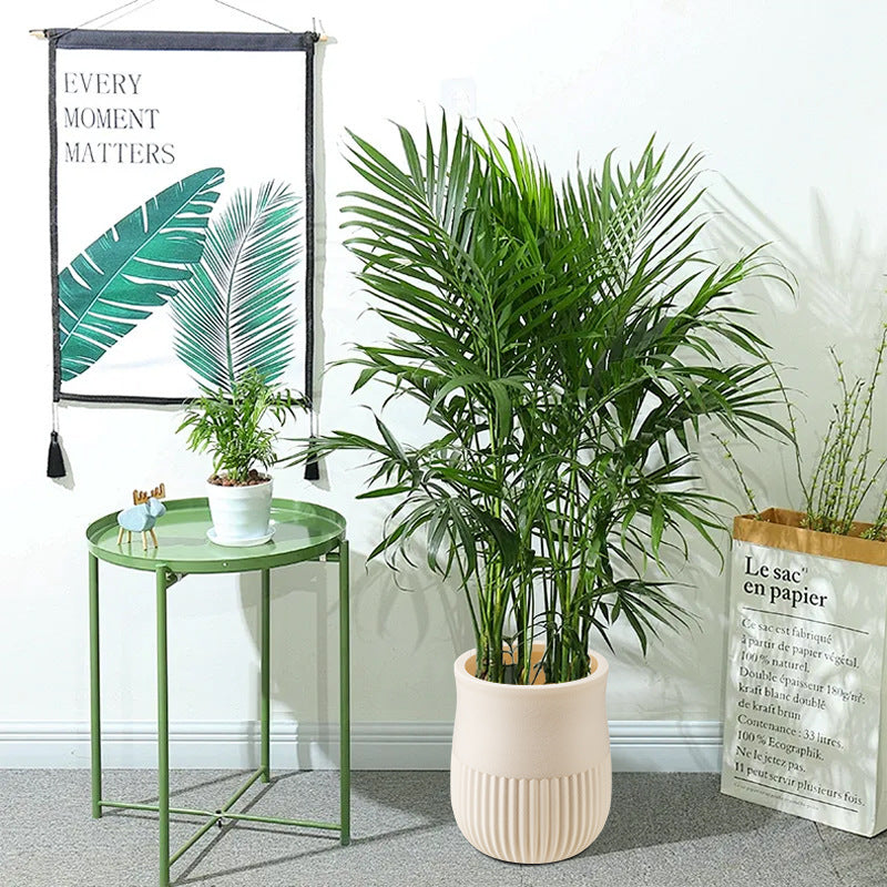 Decorative Textured Plant Pot Homeandso