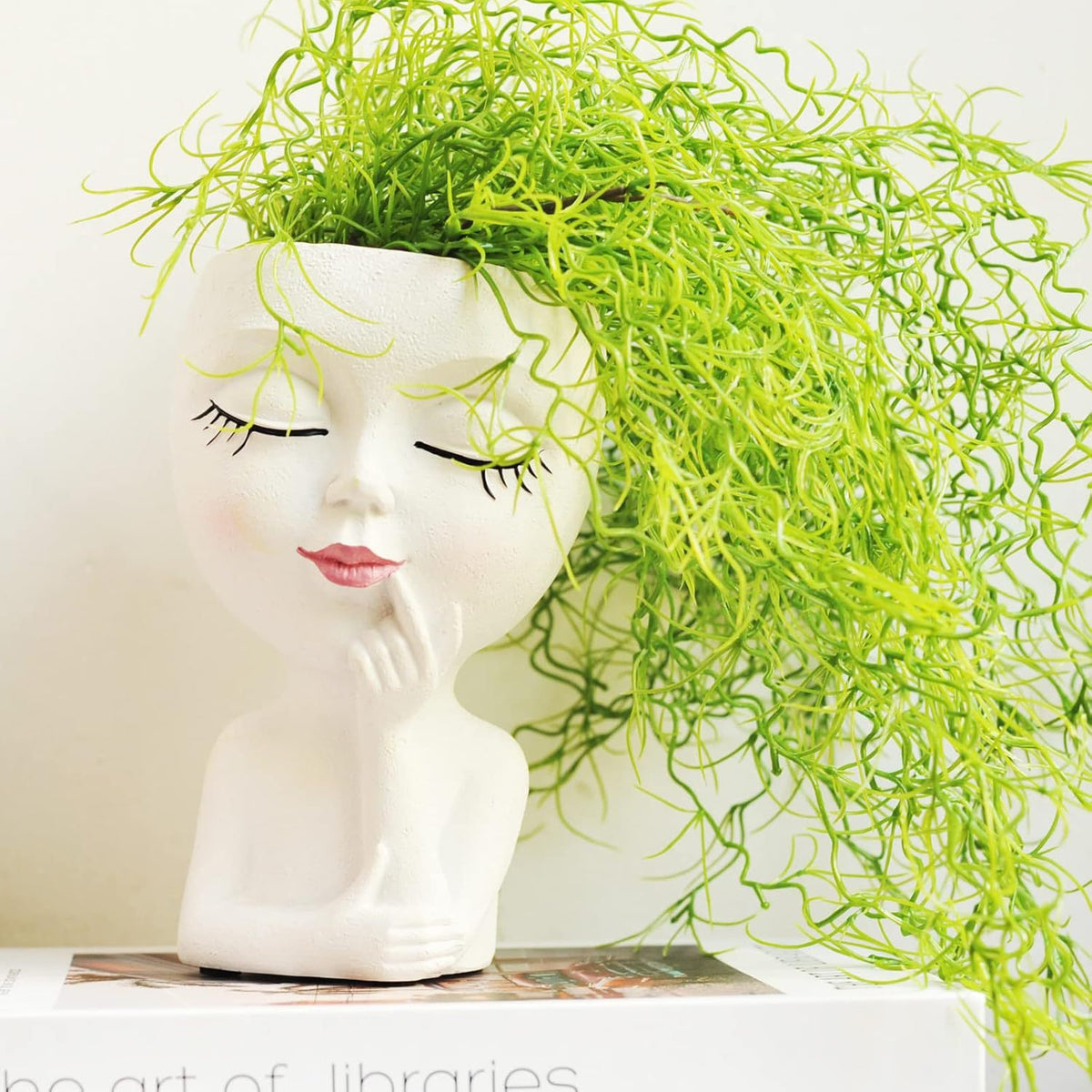 Creative Abstract Portrait Planter Homeandso