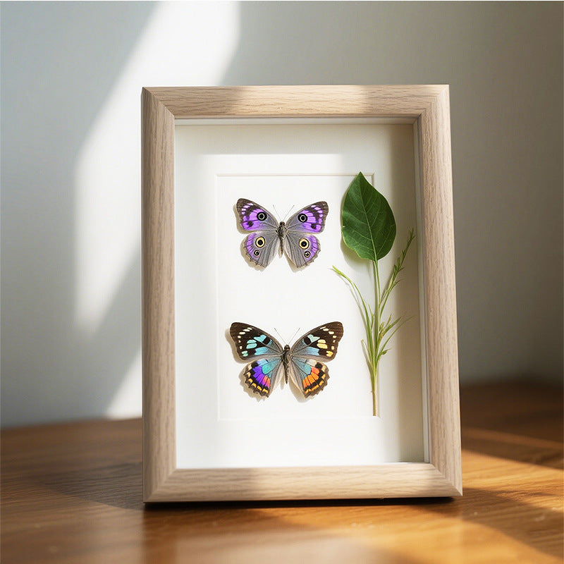 Butterfly Art