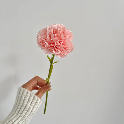 Realistic Carnation Flower Stem