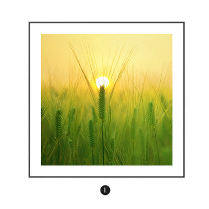 Framed Floral Artwork Homeandso 1790073032