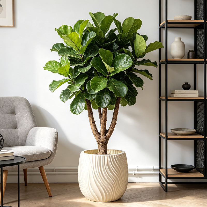 Textured Decorative Ceramic Planter Homeandso