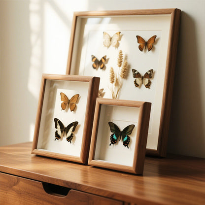 Butterfly Art