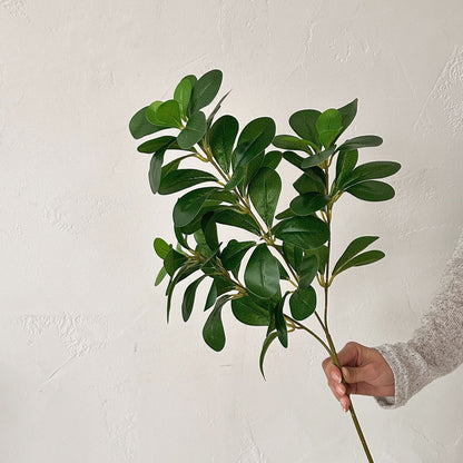 Artistic Botanical Stem