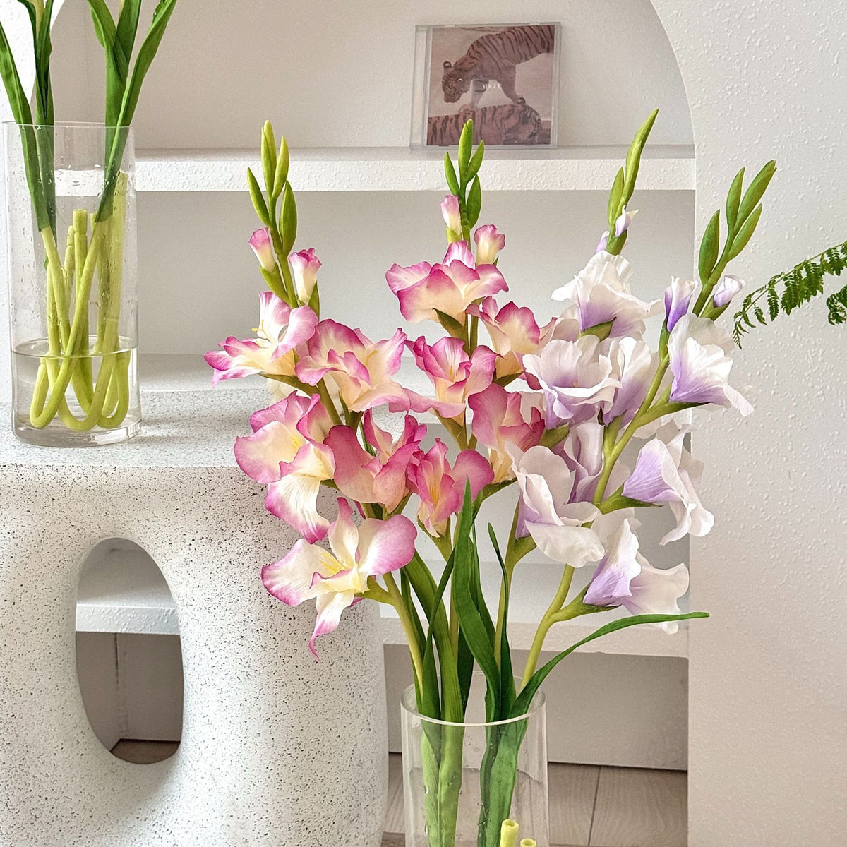 Elegant Gladiolus Floral Stem