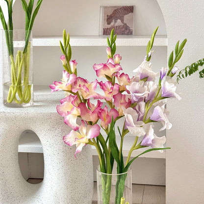 Elegant Gladiolus Floral Stem