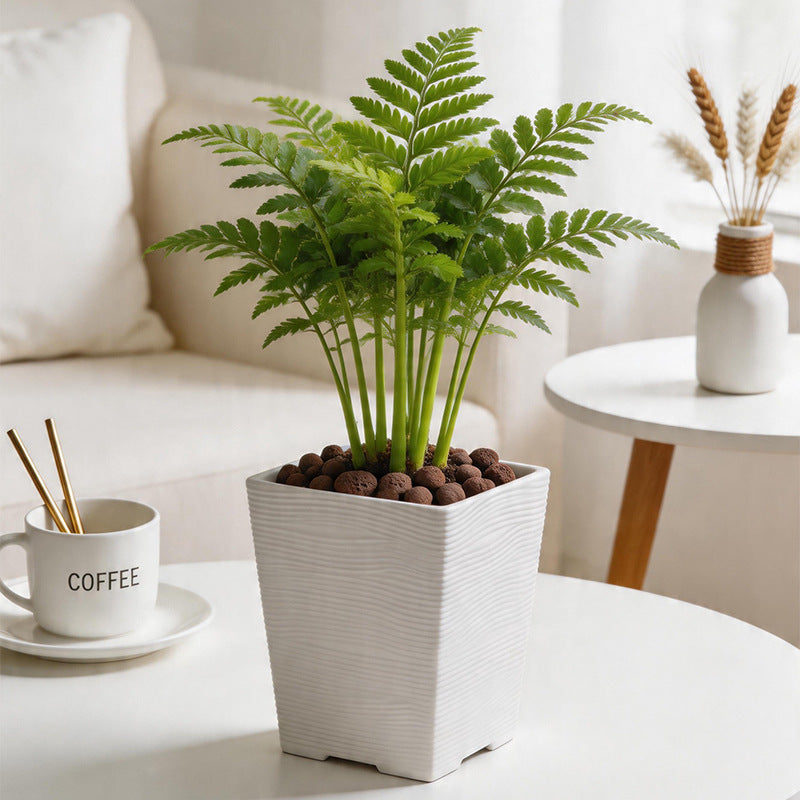 Textured Square Plant Container Homeandso