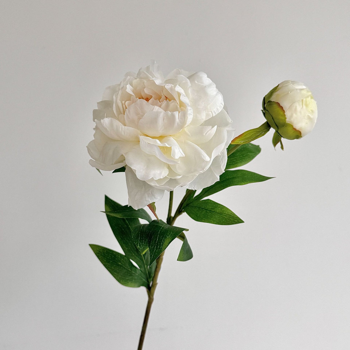 Realistic Peony Floral Stem for Flower Arrangements