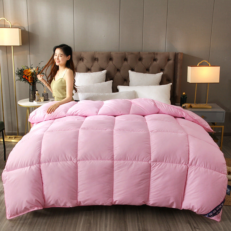 Cozy Comforter Homeandso