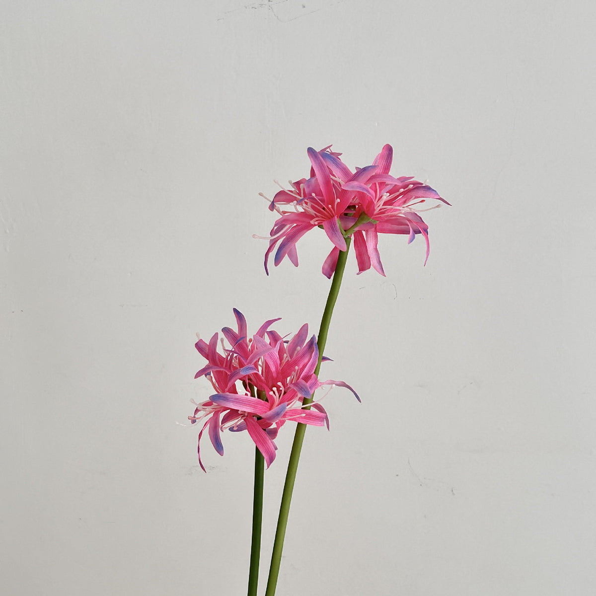 Realistic Decorative Flower Stem