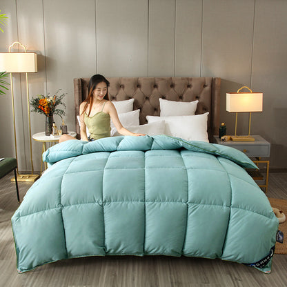 Cozy Comforter Homeandso