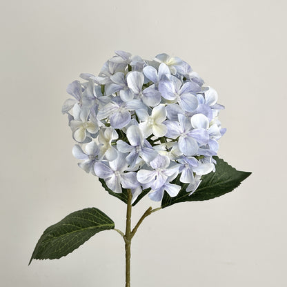Realistic Floral Hydrangea Stem