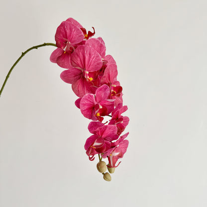 Premium Artificial Orchid Stem