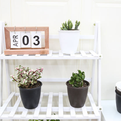 Stylish Textured Plant Container Homeandso