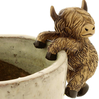 Playful Highland Cow Figurine Homeandso
