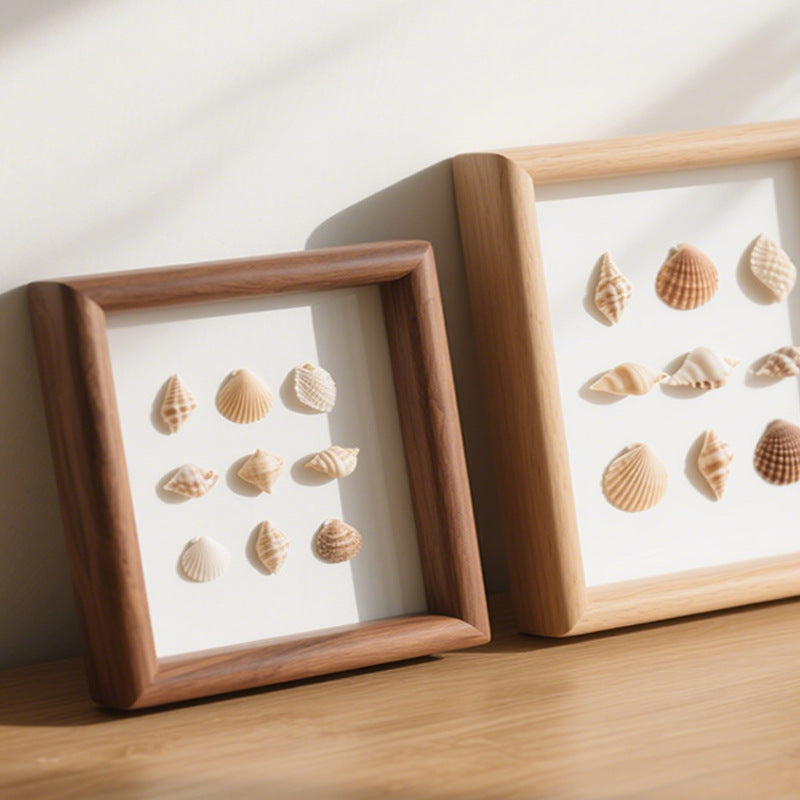 Sea Shell Shadow Box Display