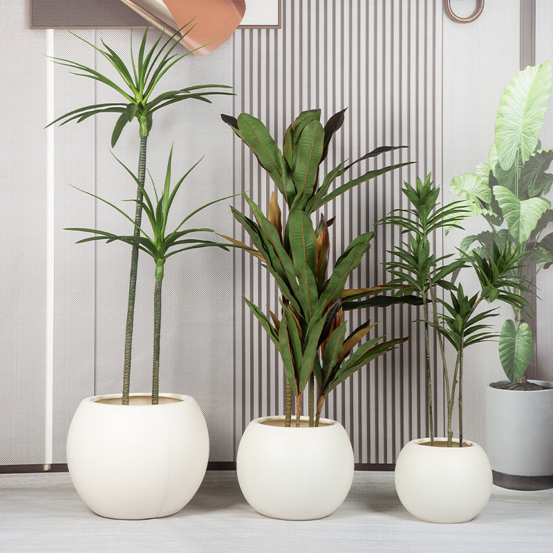 Elegant Curved Ceramic Planter Homeandso