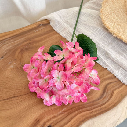 Elegant Hydrangea Floral Accent