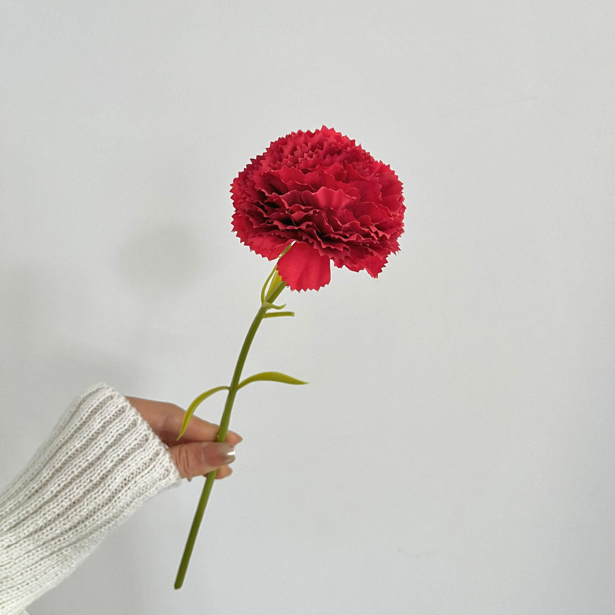 Realistic Carnation Flower Stem