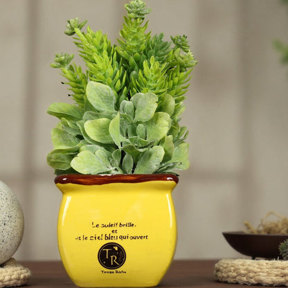 Decorative Potted Plant Homeandso