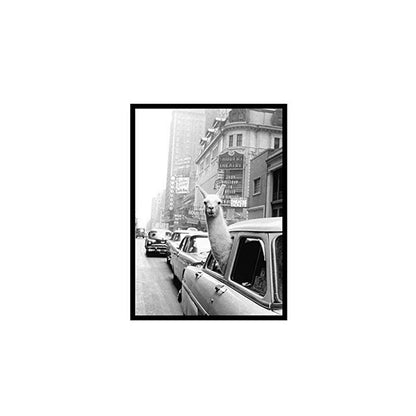 Black and White Animal Photography Canvas Print Homeandso