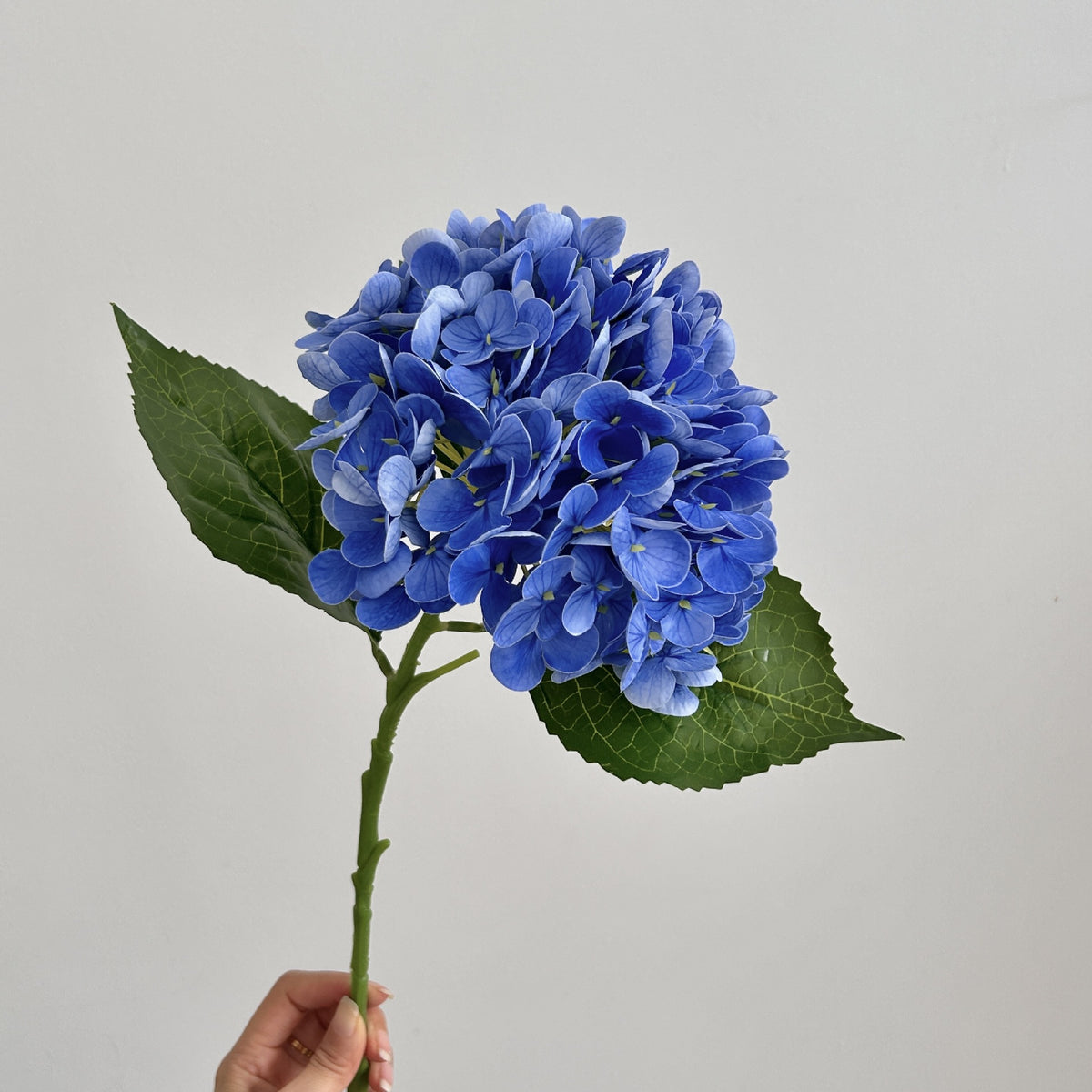 Realistic Hydrangea Stem
