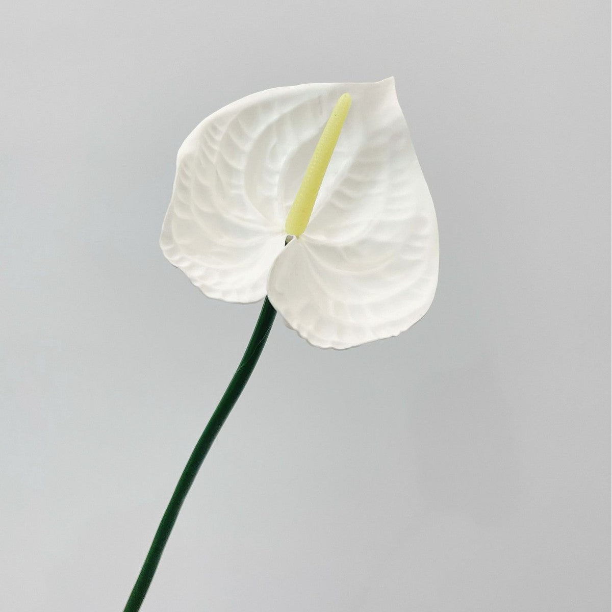 Realistic Orchid Stem Arrangement