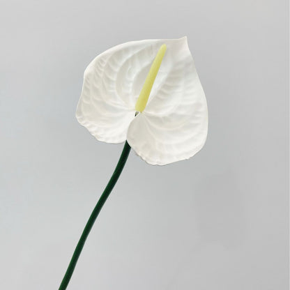 Realistic Orchid Stem Arrangement