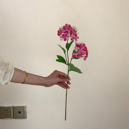Realistic Hydrangea Stem