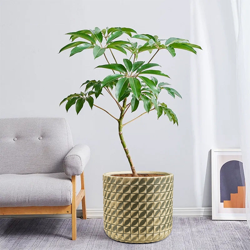 Textured Cylindrical Plant Container Homeandso