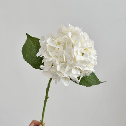 Realistic Hydrangea Stem
