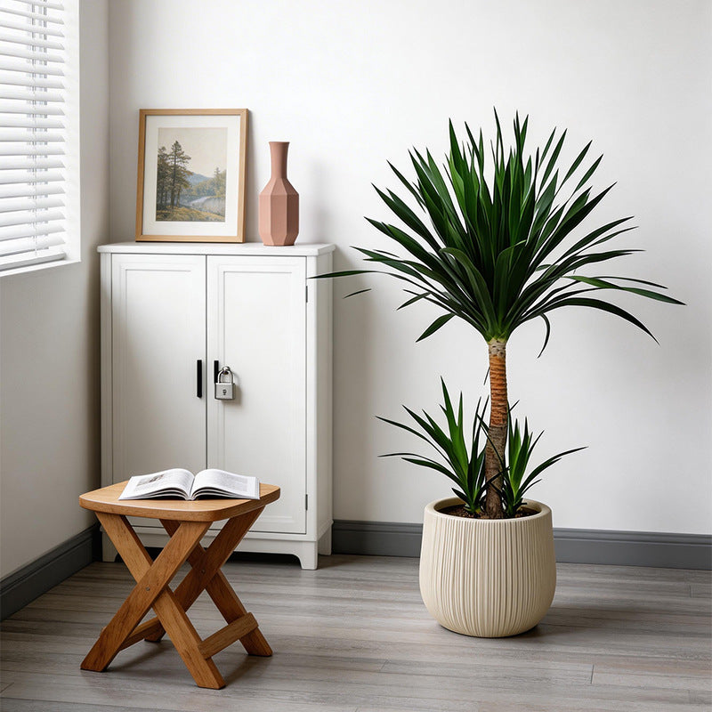 Decorative Ribbed Ceramic Planter Homeandso
